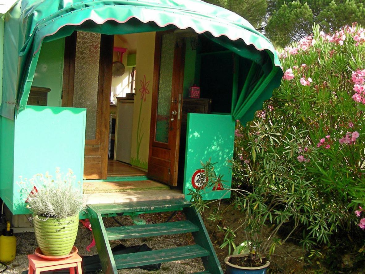Le Plan-de-la-Tour L'Amandari - Chambres D'Hotes المظهر الخارجي الصورة